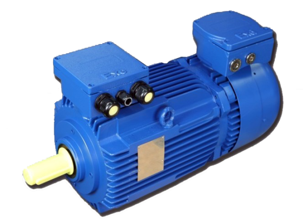 Flameproof Electrical Brake Motors