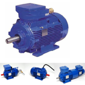 Flameproof Electrical Motors