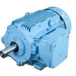 NEMA Flameproof Motors